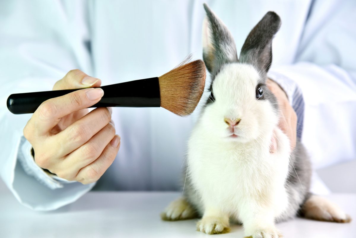 Image for Animal testing does more good than harm